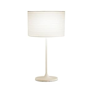 Adesso Oslo Floor Lamp – Corrosion Resistant, Scratch Proof, White Matte Finish Lighting Equipment with Metal Body…