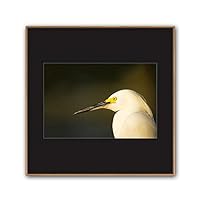 Framed Canvas Wall Art A Bird Standing on Canvas Prints Home Artwork Decoration for Living Room,Bedroom - 16x16 inches