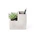 Kikkerland Concrete Desktop Planter, Small (PL02-S)