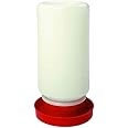 246 Miller Quail Base Bundled with Little Giant Screw-On Poultry Jar Heavy Duty Translucent Plastic Container | 1L Chick Waterer Set | Perfect for Chicks, Quail, and Ducks