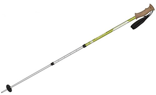 国内発送 トレッキングポール 145cm B071p17h1h Campraクリップスキーポール マルチカラー Kv 超歓迎 Www Aiq Aiq Com Mx