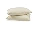 Mastertex Zippered Pillow Protectors 100% Cotton Cover, Soft & Quiet, Protects Pillows from Dirt, Dust & Allergens – Vanilla Color (2, Queen)…
