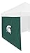 Logo Brands NCAA Michigan State Spartans 9 x 9 Side Panel - Officially Licensed Portable Shelter Panel for Tailgating, Outdoor Events, and Sports Fans, Team Color- Easy Attachment To Frame