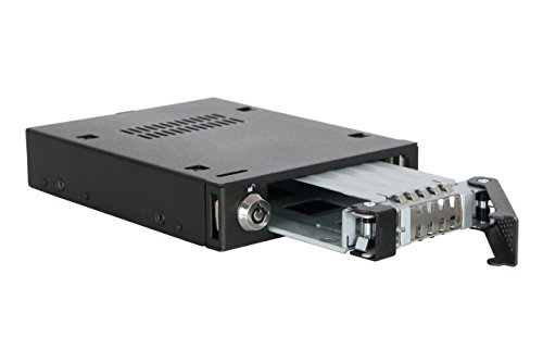 ICY DOCK 2.5" U.2 SFF 8639 NVMe SSD Hot Swap Mobile Rack For External 3.5" Drive Bay - MB601VK-B