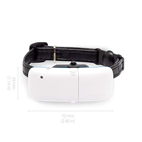 tractive gps cat tracker