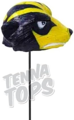 Michigan Wolverines Mascot Car Antenna Topper + Yellow Smiley Antenna Topper
