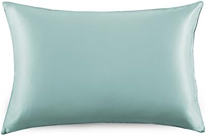 OROSE 19mm Luxury 100% Pure Mulberry Silk Pillowcase with Cotton Underside, good for hair, sleep and facial beauty, prevent wrinkle and allergy, with hidden zipper, gift wrap (Standard, Aqua green)