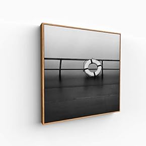 Canvas Wall Art for Living Room, Bedroom Silence Framed Canvas Prints for Home Decoration Ready to Hang - 16x16 inches
