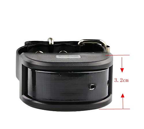 planetico dog collar