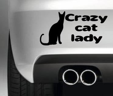 South Coast Stickers Crazy Cat Lady STICKER FUNNY BUMPER STICKER CAR VAN 4X4 WINDOW PAINTWORK DECAL EURO LEFT HAND DRIVE