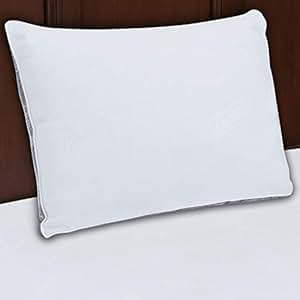 Beautyrest spa collection pillow Clearance