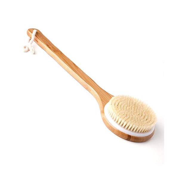 Ithyes Body Brush Dry Brushing Back Scrubber Shower Bath Brush Bamboo Wood Long Handle Natural Bristles exfoliating…