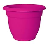 Bloem Ariana Self Watering, 6", Amaranth (AP0622) Planter, 1 Pink