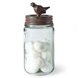 Pint Mason Jar with Songbird Lid - Green/Rust Finish