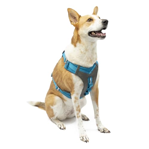 Kurgo Journey Air Dog Harness, X-Large, Blue