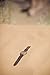 Luno Wear Men's Wood Watch, Genuine Leather, The Shoots