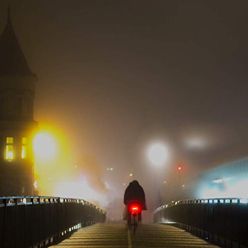 image for Whole Human Bright USB Rechargeable Bike Tail Light - IPX4 Weatherproo