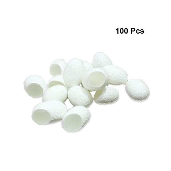 Lurrose-Attrezzo-100pcs-di-cura-di-bellezza-del-dispositivo-di-rimozione-dei-punti-neri-delle-punte-della-spazzola-del-bozzolo-del-baco-da-seta-naturale Lurrose Attrezzo 100pcs di cura di bellezza del dispositivo di rimozione dei punti neri delle punte della spazzola del…