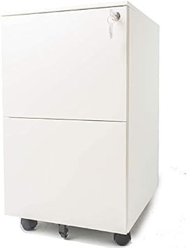 Amazon Com Pemberly Row 15 4 Wide 2 Drawer Metal Mobile File