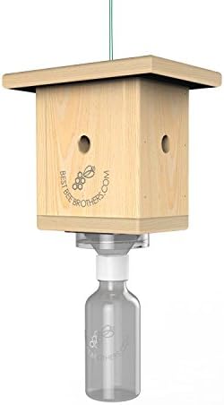 Best Box Trap - Carpenter Bee Trap