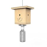 Best Box Trap - Carpenter Bee Trap