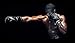 Hawk Boxing Gloves for Men & Women Kickboxing Sparring Bag Training Gloves Mitts MMA Muay Thai Kick Boxing
