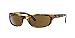 Ray-Ban RB4115 Sunglasses