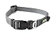 Mighty Paw Dog Collar - High Visibility - Reflective Stitching - Adjustable Dog Collar with Buckle - Durable Dog Collar - Premium Puppy Collar - Suitable for All Dog Sizes - Personalized Dog Collars