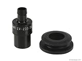 Motorcraft PCV Valve