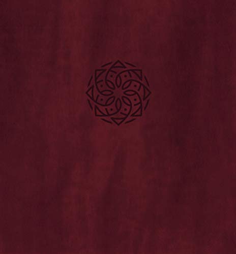 [FREE] NRSV, Holy Bible, XL Edition, Leathersoft, Burgundy, Comfort Print DOC