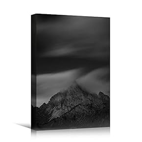 signwin Canvas Wall Art Expressive Landscape Chic Dramatic...