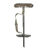 Banded A-1 Slough Stool