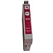 Gen 79 T079120 T079220 T079320 T079420 T079520 T079620 6 Pack Ink Cartridges for e Stylus Photo 1400 and Artisan 1430 Printer