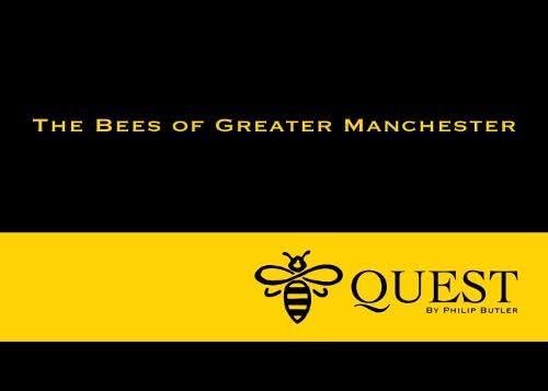 Bee Quest Paperback – 10 Nov. 2017