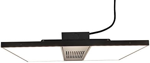 NextLight Mini