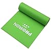 PROIRON-Resistance-Band-Stretch-Bands-Exercise-Bands-for-Yoga-Ballet-Pilates-Workout-Exercise PROIRON Latex-Free Resistance Bands, Exercise Bands for Strength Training, Yoga, Pilates, Stretching, Home Gym Workout…