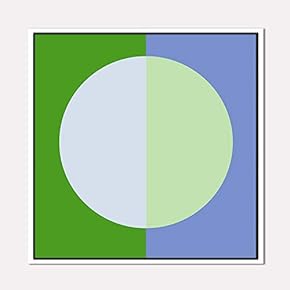 Framed Canvas Wall Art for Living...