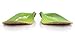 SOLE Active Medium Footbed Insoles for Men and Women with Met Pad (Cork), Green, Men 15thumb 3