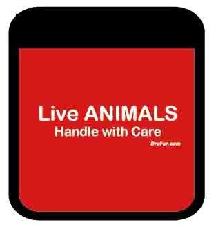 Pet Carrier Comfort Grips - Live Animals (Red) - Thumbnail 4