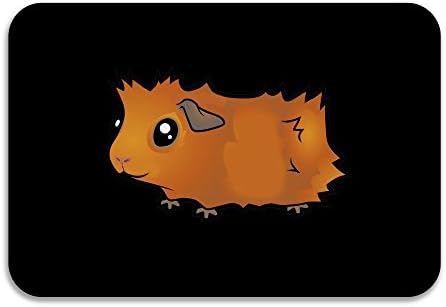 SARHT Simple Guinea Pig Wheek Logo Non-slip Doormat