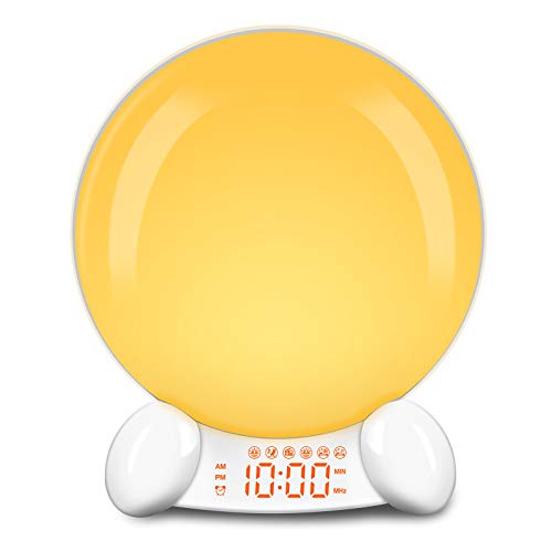 DreamSky Digital Alarm Clock Radio Wake Up Light Clock for Bedroom