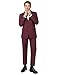 SBW Men's Men's Regular Fit Dress Shirt & 2PCS Suit