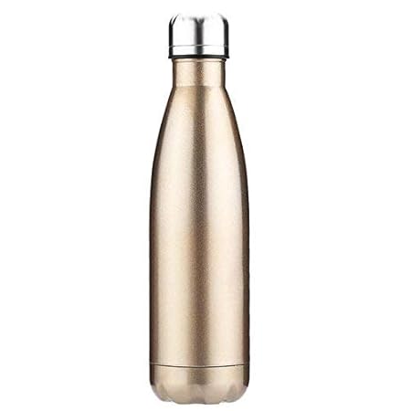 Stainless Steel 750ml Insulated Water Bottle (Multi clr)