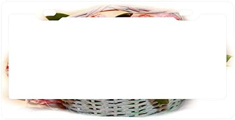 YEX Abstract Basket Full of Flowers License Plate Frame Car License Plate Covers Auto Tag Holder 6" x 12"