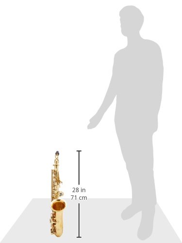 Roy Benson RBAS302 Eb Professional Alto Saxophone