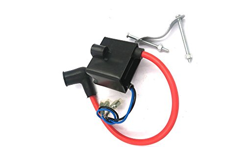 higher performance Capacitor Discharge Ignition - CDI - Coil/Performance CDI Electron Ignition Coil and Rotor - Magneto Magnet Set-66cc/80cc Gas Motorized Bicycle