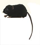 Hansa Mouse Plush, Black