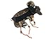 Midlee Scary Spider Dog Costume (Small)