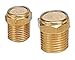 PneumaticPlus BV-18 Sintered Bronze Breather Vent - Brass Body 1/8
