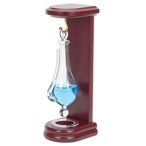 Bits and Pieces Desktop Weather Glass Liquid Barometer Classic Home